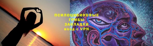 стаф Каменка
