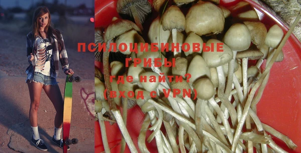 крисы Балахна