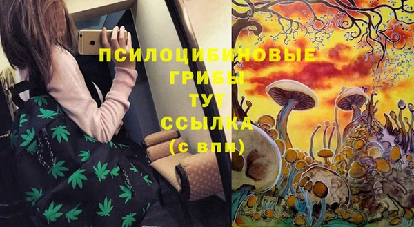 крисы Балахна